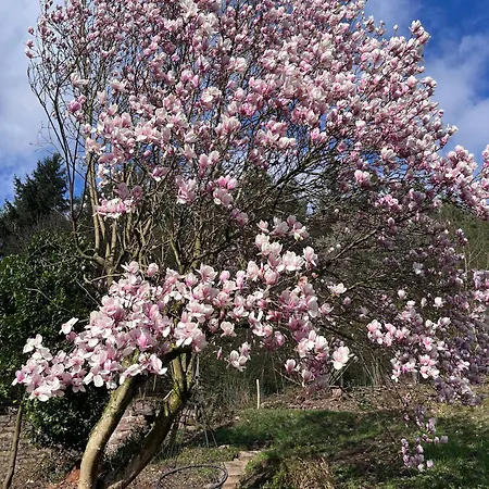 Nyaraló Casa Tilly - Am Wald